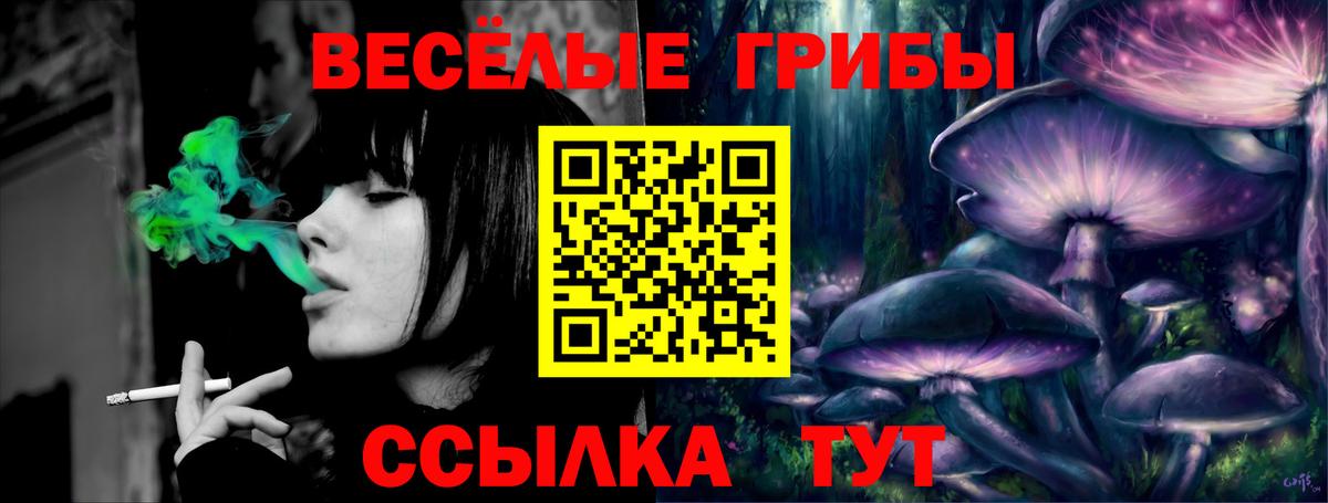 Псилоцибиновые грибы GOLDEN TEACHER  Вход с VPN  Галлюциногенные грибы Psilocybe  Батайск 